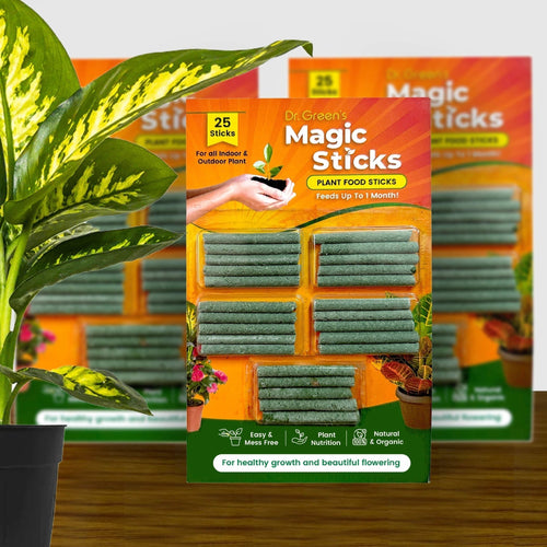 Dr. Green's Magic Plant Sticks