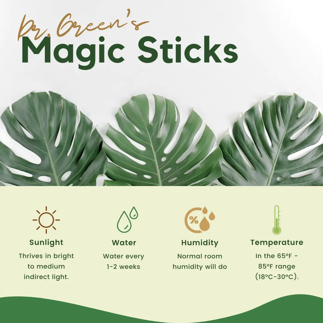 Dr. Green's Magic Plant Sticks